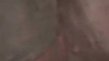 Bare man senses genuine swine dick in his anus