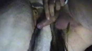 Mare pussy fingered and fucked deep in the night