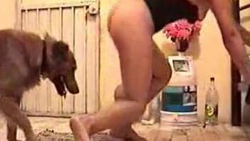 Gorgeous wife tries sex with a dog for the first time