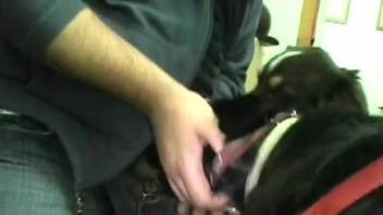 Dude fucking a dog's sexy throat in a kinky zoo video