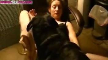 Slutty brunette in fishnets gets fucked by a dog