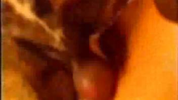 Intimate beastiality footage with a naked novice whore