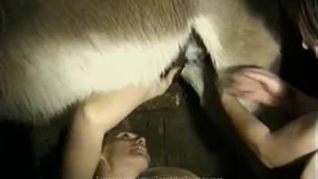 Well-endowed tough guy ravaging a horse's vagina