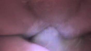 Lustful guy enjoys sensing beast dicks in his rear opening