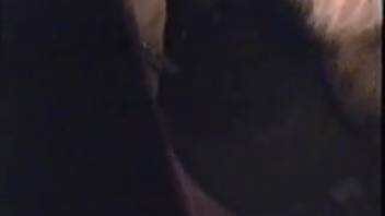 Incredible sex session with a totally obedient wildcat