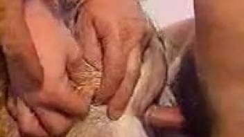 In-depth footage of a canine's stretched vagina featuring homosexual men