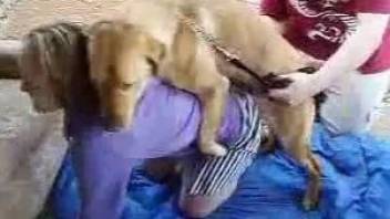 Pale-skinned beauty gets fucked by a big-dicked dog