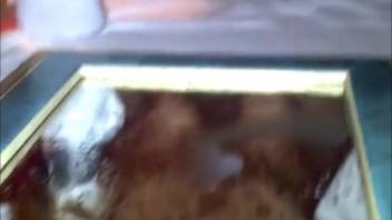 Excited hottie captured on video in wild animal sex scenes