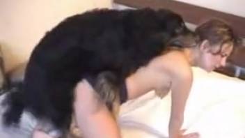 Nude female attempts canine erotica for her debut