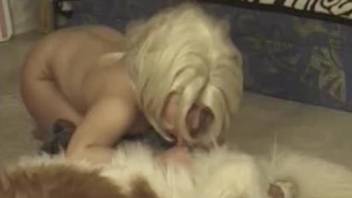 Wig-wearing hottie sucking a dog's dirty cock