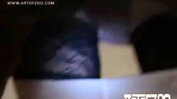Brunette with mask and stockings gets raw doggy style pounding