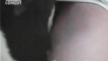 Adorable bovine performs oral on this dude's pulsing erection