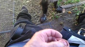 Point-of-view oral sex from a highly focused ebony pup