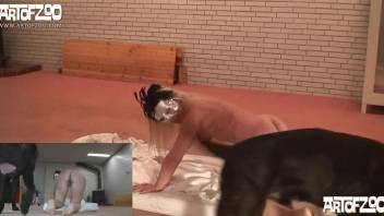 Masked blonde getting fucked by a black doggo