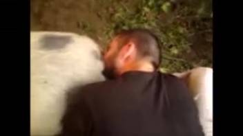 Guy performing oral sex on a swine's vagina in a steamy adult film