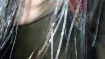 Guy shoving his fist into his horse's tasty vagina while recording
