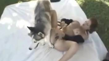 Zoophile babe sucsk her dogg and takes in her ass