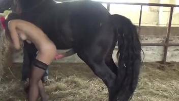 Hot blonde gets working with the big horse penis