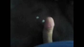 Guy receives oral pleasure on his penis from an incredibly attractive creature