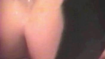 Curvy blonde has her cunt pounded by a black dog