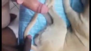 Perverted animal lover thrusts his dick into a pup
