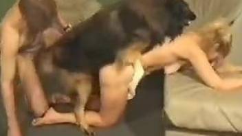 Big-breasted housewife happily taking a dog's big dick