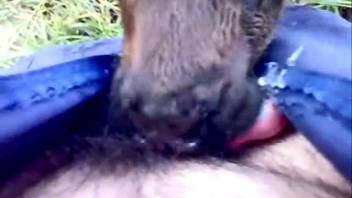 Guy screwing a filthy beast in this steamy adult flick right here