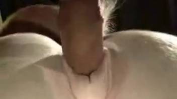 Man plunges his shaft into a mare's dripping cunt