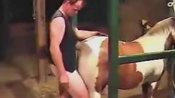 Vest-wearing dude fucking a cow's hot cunt on cam