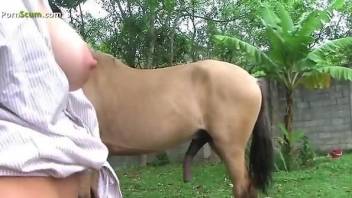 Blonde and brunette takes turns sucking on a stallion cock