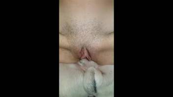 Gaming babe gets nailed by a canine and delivers a footjob to it