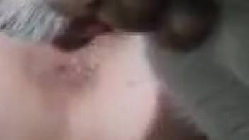 Filthy canine dick fills a snug orifice with cum on video