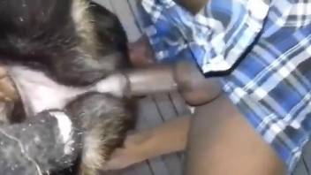 Dude straight-up destroying a dog's pussy from behind