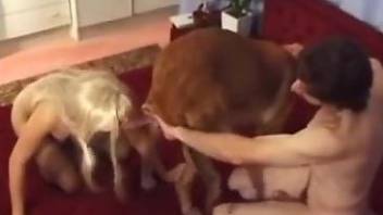 Stockings-clad blonde fucks her dog on all fours