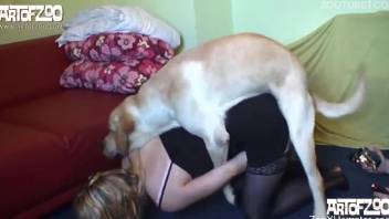 Perky-assed blonde getting fucked by a kinky dog