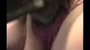 Amazing bestiality porn film featuring lustful animal enthusiasts