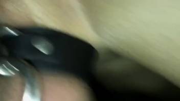 Man's rear entrance widened to its limit by a canine