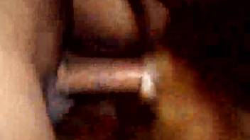 Filthy house pet banged by a hung stud