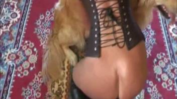 Homemade adult scenes featuring a furry dog and a nude homemaker