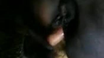 Guy yanks out his dick to screw a promiscuous mare