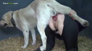 Steamy anal adult film featuring a sexy babe who loves animal anal sex