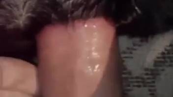 First-person doggy style vaginal stretch video featuring a well-hung dude