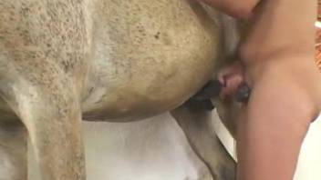 Natural boobs Latina getting fucked by a stallion