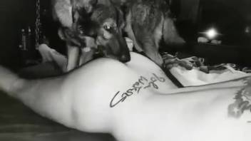 Interracial gay bestiality threesome with plenty of oral action