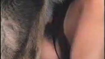 Bushy vagina babe receives that canine's huge cock