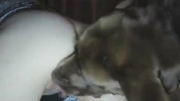 Pale-skinned chick filled with cum by a freaky beast