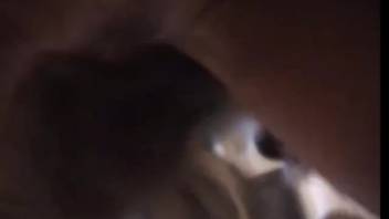Doggy-style bestiality leaves the wife totally covered in cum