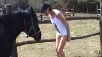 Dark-haired female performs oral sex on an enormous horse cock