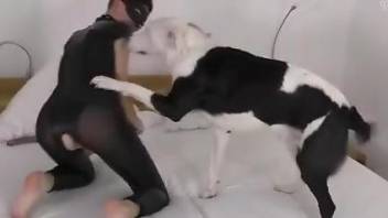 Horny slavegirl has to fuck the master's dog too