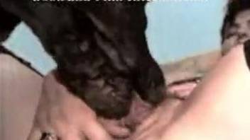 Hardcore amateur video focusing on passionate bestiality